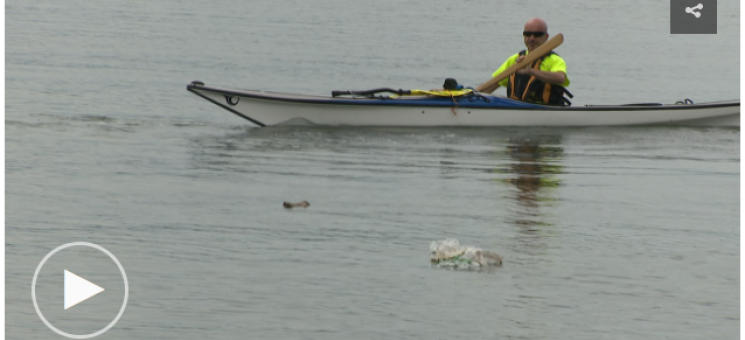 Tecogida de basuras marinascon kayaks en la isla de Cortegada - II Red para la recuperación de los ecosistemas marinos en el PNMT Illas Atlánticas de Galicia II Red para la recuperación de los ecosistemas marinos en el PNMT das Illas Atlánticas de Galicia