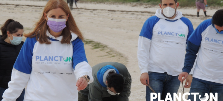 Limpieza de playas en A Illa de Arousa