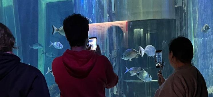Estudiantes observando peces en un acuario.