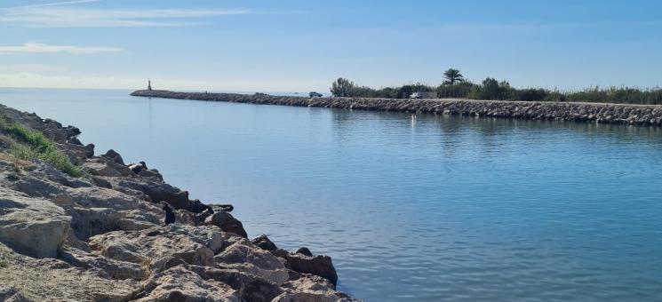Desembocadura de un río. Desembocadura de un río.
