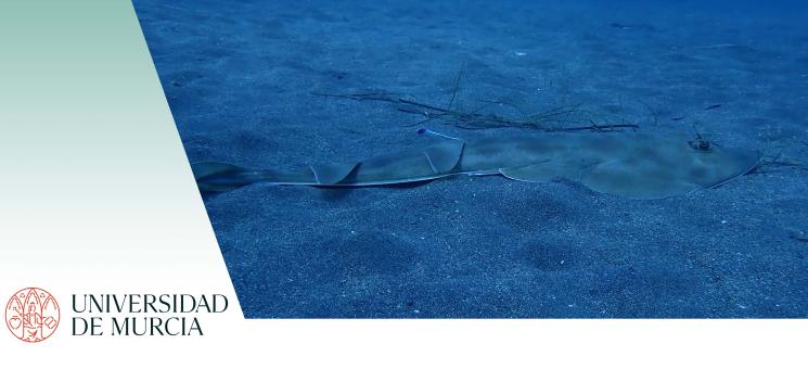 GUITARHERO 2 montaje