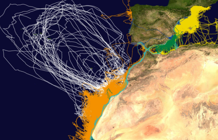 Resultados del proyecto AMPLIAMAR. Resultados del proyecto AMPLIAMAR.