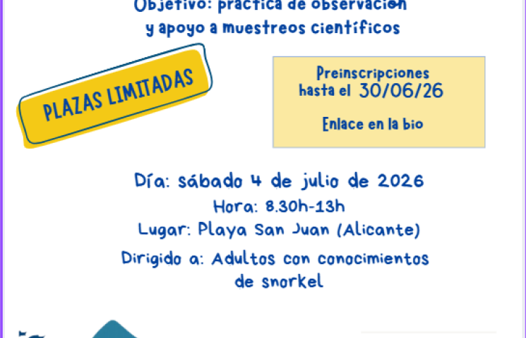 Cartel informacíón voluntariado