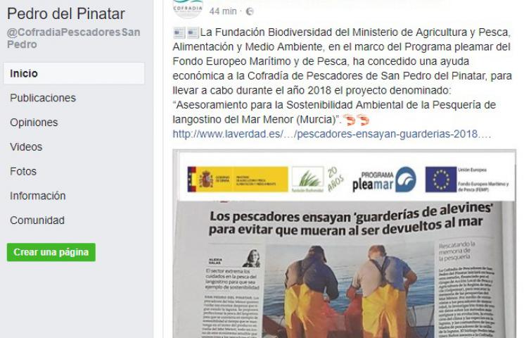 Asesoramiento para la Sostenibilidad Ambiental de la Pesquería de langostino del Mar Menor (Murcia)