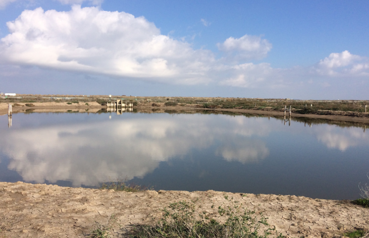 Estero para cultivo de algas.