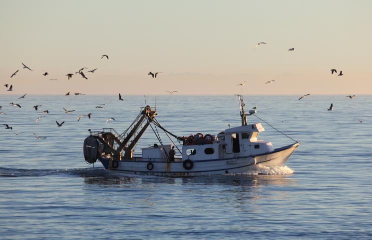 Barco de pesca faenando. Barco de pesca faenando.