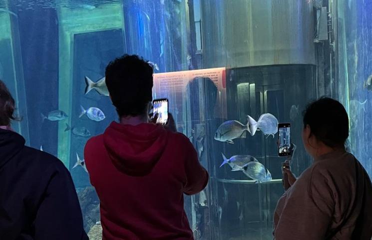 Estudiantes observando peces en un acuario.