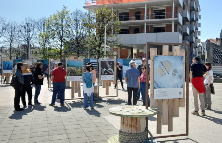 La exposción del Programa Pleamar se ha inaugurado hoy en Gijón.