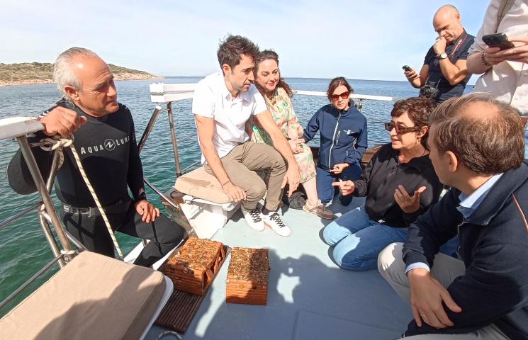 Instalación del primer arrecife experimental de ostra nativa en el Mar Menor.