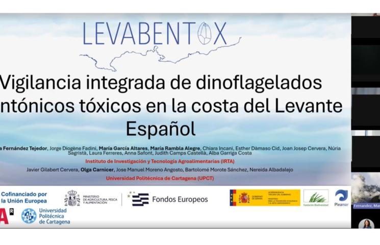 Jornada final del proyecto LEVABENTOX online.