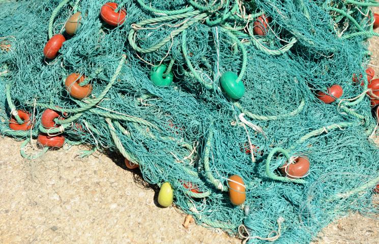 Resolución de la convocatoria 2025 del Programa Pleamar. Resolución de la convocatoria 2025 del Programa Pleamar.