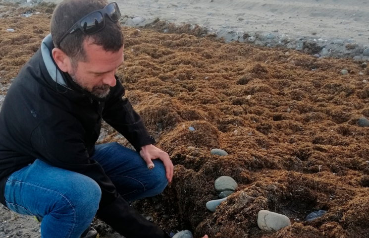 Entrevista a David León Muez, director del proyecto RUGUPLAS. Entrevista a David León Muez, director del proyecto RUGUPLAS.