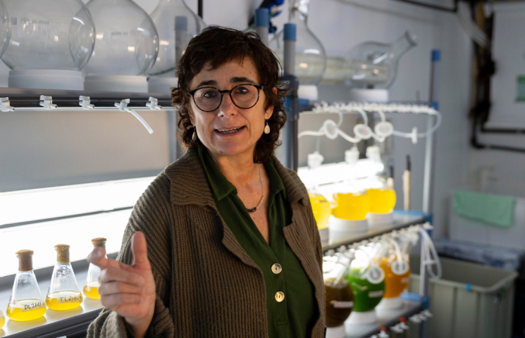 Marina Albentosa, directora del proyecto RemediOS-2