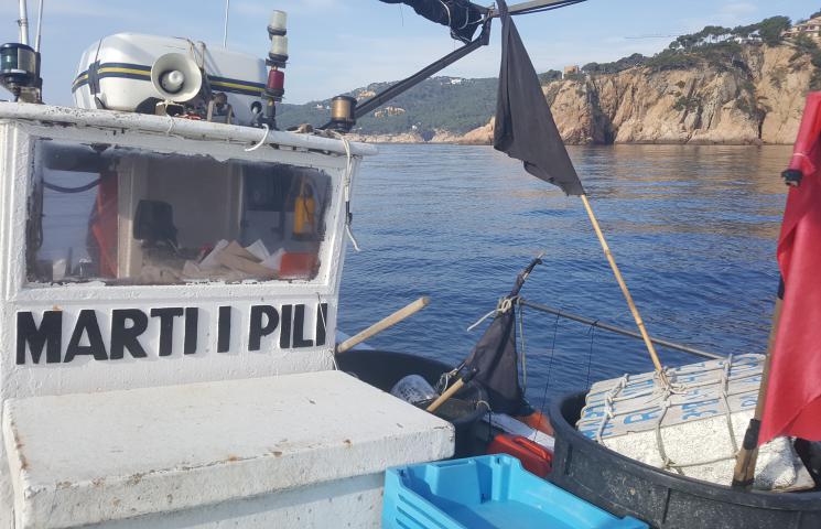 Se inician los muestreos a las embarcaciones de Palamós que participan en el proyecto COFRAREDMED, en el que se pretende obtener una metodología común para la creación de una red de datos pesqueras, ambientales y socioeconómicas de tres comunidades autóno