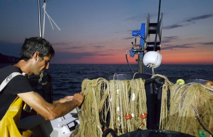 Jornada de pesca a bordo de la Pandilla, embarcación de artes menores de Palamós. Muestreos de salmonete Proyecto COFRAREDMED