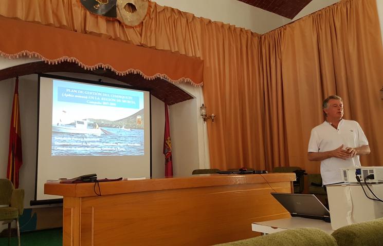 Asesoramiento para la Sostenibilidad Ambiental de la pesca del langostino