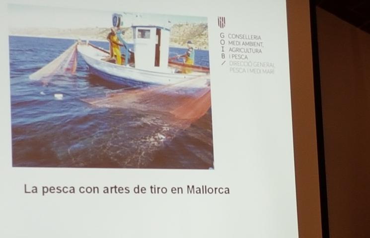 Asesoramiento para la Sostenibilidad Ambiental de la pesca del langostino