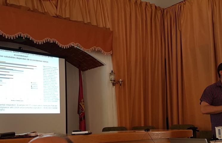 Asesoramiento para la Sostenibilidad Ambiental de la pesca del langostino
