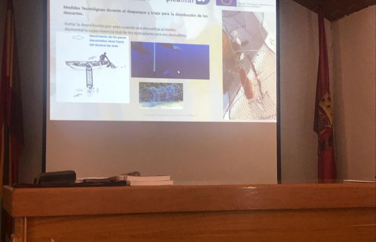 Asesoramiento para la Sostenibilidad Ambiental de la pesca del langostino