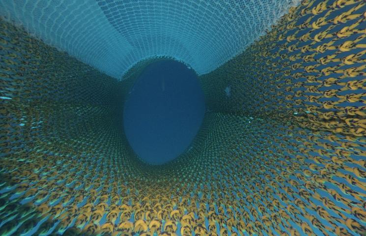 Proyecto MENDES: pruebas de pesca experimental con las artes de arrastre 