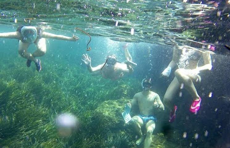 Increíbles fondos sumergidos en Isla Plana el 11 de julio