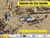 Impactos de las basuras marinas Basuras marinas