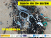 Impactos dos lixos mariños Impactos de las basuras marinas